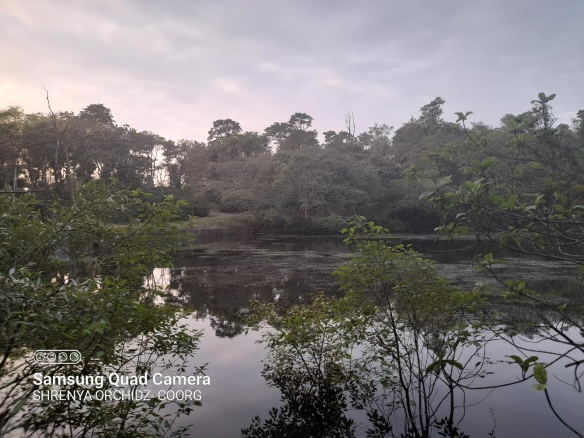 Shrenya Orchidz-Coorg Nature Stay Madikeri Exterior photo